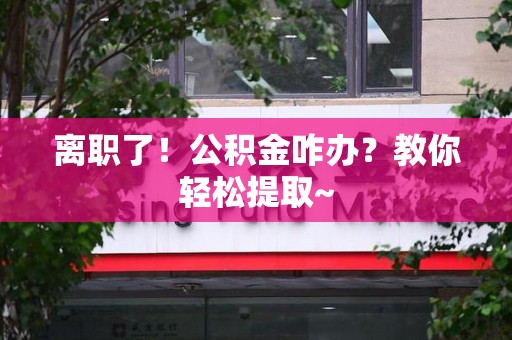 石狮离职了！公积金咋办？教你轻松提取~